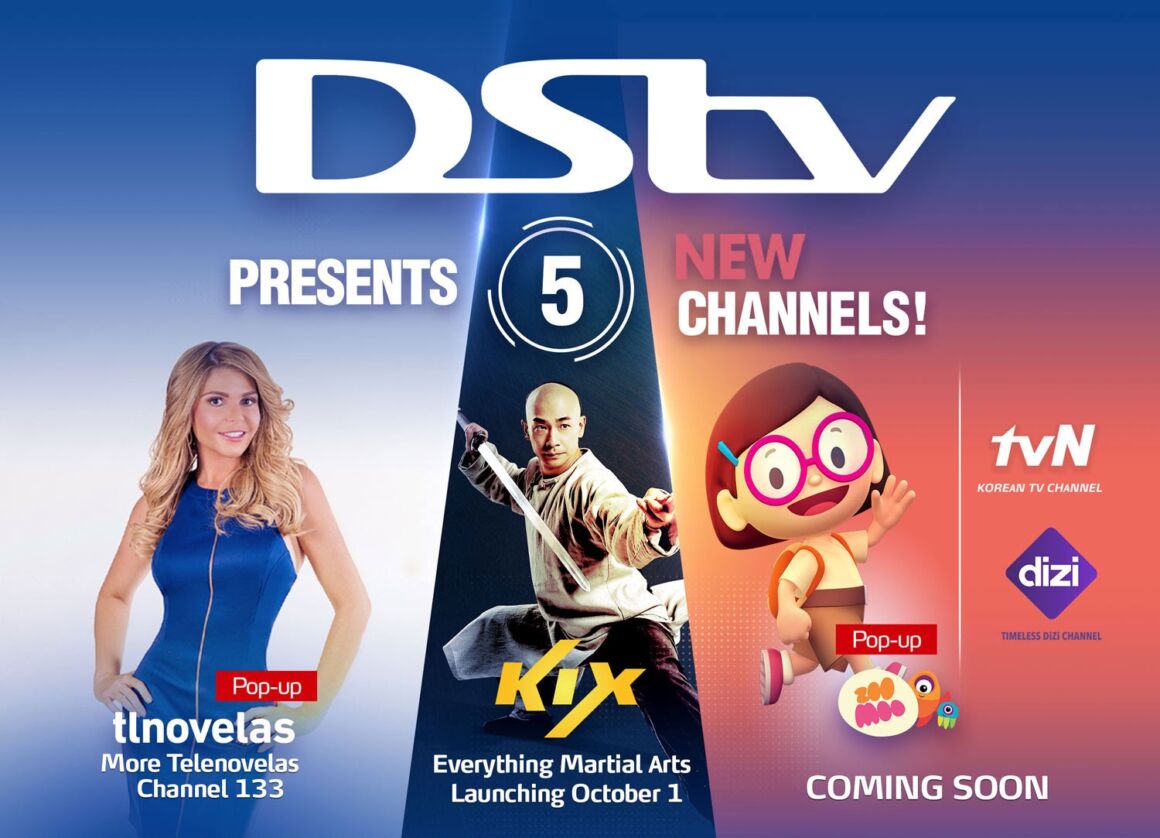 DStv Yanga Package, Channels List and Price GuiderSpot