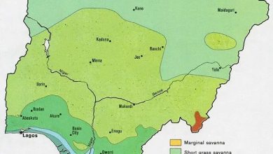 vegetation-zones-in-nigeria