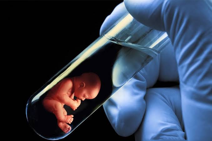 Cost Of IVF In Nigeria And Recommended IVF Centers 