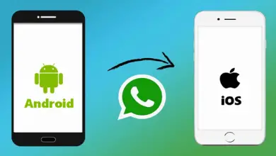 How to Transfer WhatsApp Backup from Android to iPhone