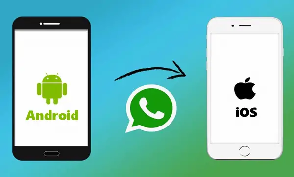 How to Transfer WhatsApp Backup from Android to iPhone